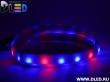   Ленточный светодиодный неон SMD3528 60Led 10 x 5 мм. Красный+ 2 Синий