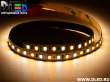   Светодиодная лента IP22 SMD 2835 (120 LED) 1 Белый + 1 Теплый белый