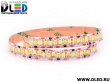   Светодиодная лента IP22 SMD 2835 (240 LED) 1 Белый + 1 Теплый белый