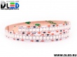   Светодиодная лента IP22 SMD 2835 (240 LED) Синий