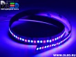   Светодиодная лента IP22 SMD 2835 (240 LED) Красный + 2 Синий