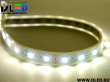   Влагозащищенная светодиодная лента в матовой трубке SMD 5050 (60 LED) IP67 Белый