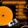   Светодиодный неон c пультом управленияSMD 2835 (120 LED Оранжевый) 12 x 6мм 5м с блоком питания