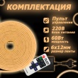   Светодиодный неон c пультом управленияSMD 2835 (120 LED Теплый белый) 12 x 6мм 5м с блоком питания