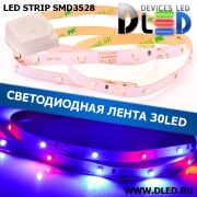   Светодиодная лента IP22 SMD 3528 (30 LED) 12V DC Красный + 2Синий