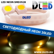   Ленточный светодиодный неон SMD3528 30Led 10 x 5 мм. 1 Теплый белый + 2 Белый