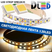   Светодиодная лента IP22 SMD 2835 (120 LED) 2 Белый + 1 Теплый белый