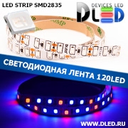   Светодиодная лента IP22 SMD 2835 (120 LED) Красный + 2 Синий