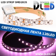   Светодиодная лента IP22 SMD 2835 (120 LED) Розовый