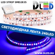   Светодиодная лента IP22 SMD 2835 (240 LED) Красный + 2 Синий