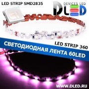   Гибкая светодиодная лента IP22 SMD 2835 (60 LED) 360 Пурпурный