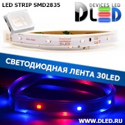   Влагозащищённая светодиодная лента SMD 2835 (30 LED) ip67 Красный + 2 Синий