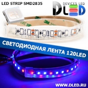   Влагозащищённая светодиодная лента в трубке SMD 2835 (120 LED) ip67 Красный + 2 Синий