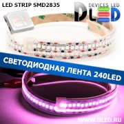   Влагозащищённая светодиодная лента в трубке SMD 2835 (240 LED) ip67 Пурпурный