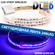   Влагозащищённая светодиодная лента в трубке SMD 2835 (240 LED) ip67 Красный + 2 Синий