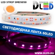   Влагозащищённая светодиодная лента в трубке SMD 5050 (60 LED) ip67 Пурпурный