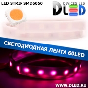   Влагозащищенная светодиодная лента в матовой трубке SMD 5050 (60 LED) IP67 Пурпурный