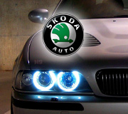 Ангельские глазки на Skoda