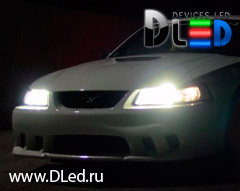 Автолампы DLed Evolution White