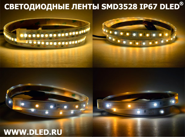 Светодиодная лента smd3528 ip67 от компании DLED