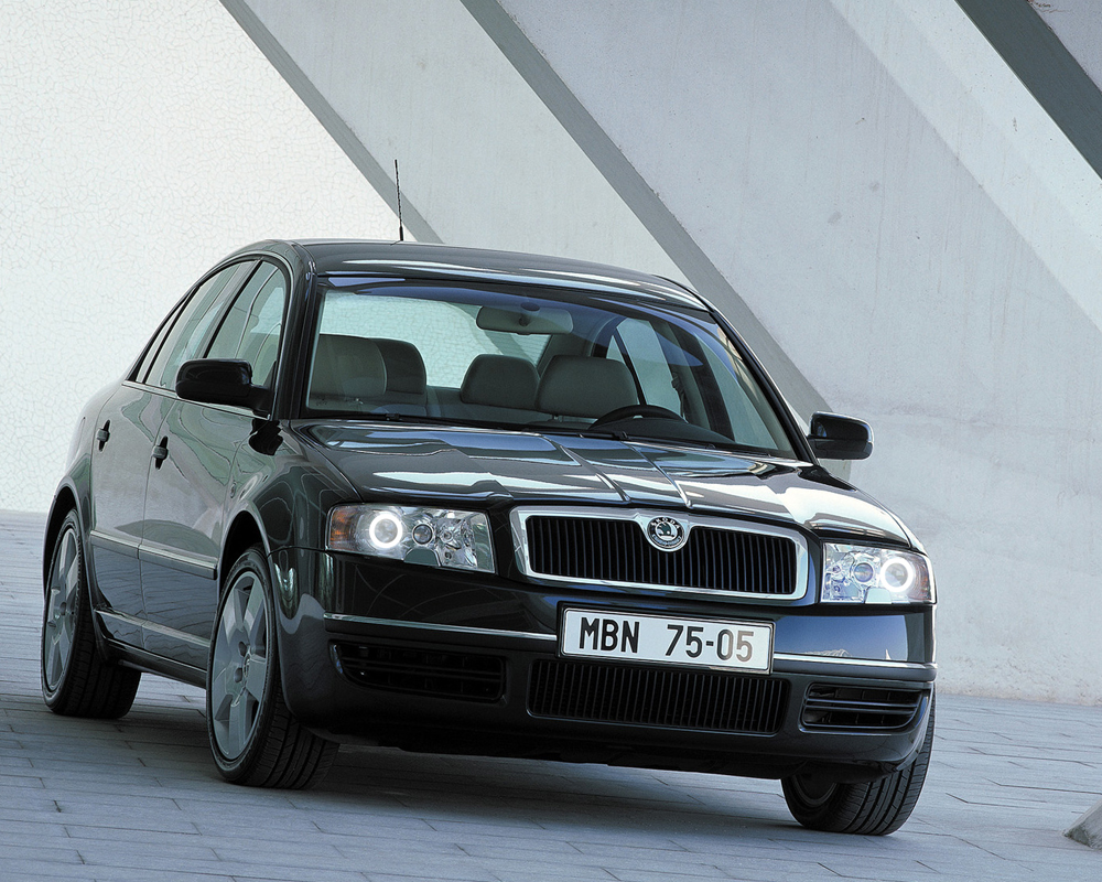 Ангельские глазки на Skoda Superb 2002-2006