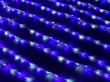   Гирлянда наружная "Бегущий огонь" 2 х 3 м 800Led Силикон Бело-синий.