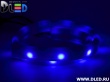   Ленточный светодиодный неон SMD3528 30Led 7 x 15 мм. Синий