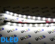   Светильники под сидение авто DLED X2 SMD5050 Белый