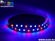   Светодиодная лента IP22 SMD 2835 (120 LED) Красный + 2 Синий