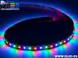   Светодиодная лента IP22 SMD 2835 (120 LED) Красный+Синий+Зеленый