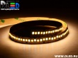   Светодиодная лента IP22 SMD 2835 (240 LED) 1 Белый + 1 Теплый белый