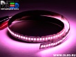   Светодиодная лента IP22 SMD 2835 (240 LED) Пурпурный