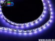   Светодиодная лента IP65 SMD 5050 (60 LED) 24V DC Белый