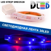   Влагозащищённая светодиодная лента SMD 3528 (30 LED) ip67 Красный + 2 Синий