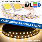   Светодиодная лента IP22 SMD 2835 (120 LED) 1 Белый + 1 Теплый белый