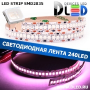   Светодиодная лента IP22 SMD 2835 (240 LED) Пурпурный