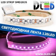   Влагозащищённая светодиодная лента в трубке SMD 2835 (120 LED) ip67 Пурпурный